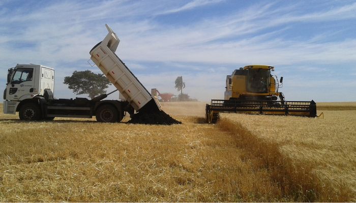 Foto: Sanepar Agricultores celebram produtividade e menor custo com adubo gratuito da Sanepar